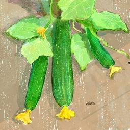 画吃瓜,跟随画笔探寻吃瓜的趣味时光