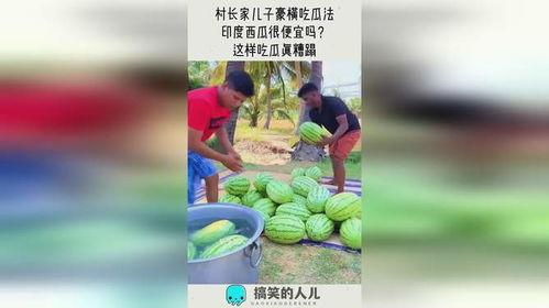 村长吃瓜,揭秘农村生活的趣味瞬间